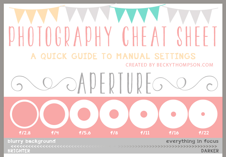 becky-thompson-photography-cheat-sheet-preview